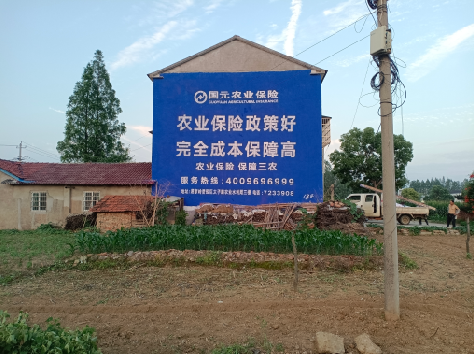 随州墙体广告为何受追捧？